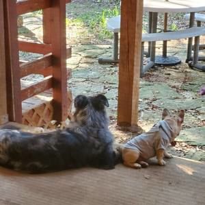 Meet your Posher, Cindy